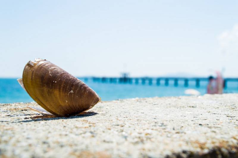 Beach in Burgas