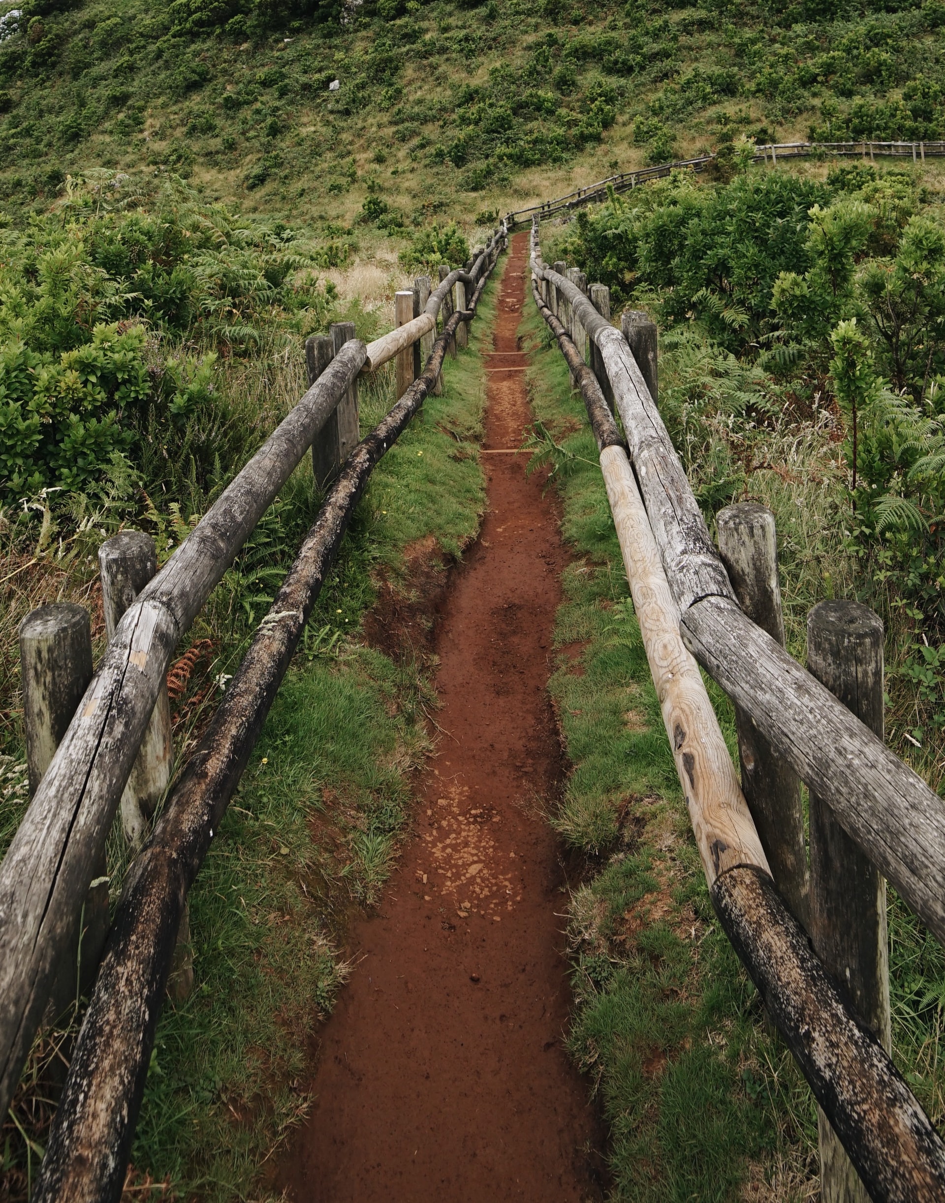 Terceira Island
