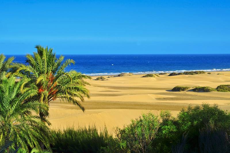Dunes of Maspalomas, in Gran Canaria