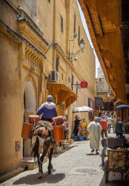 Car Hire in Fes