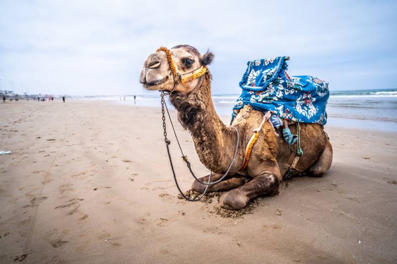 Agadir