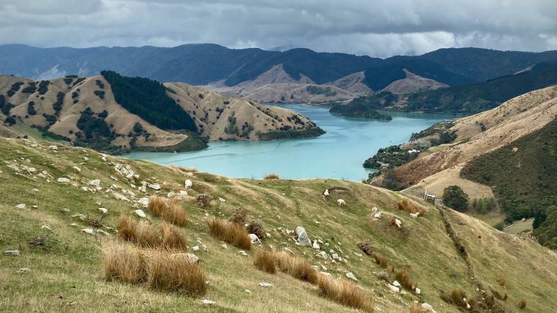 Cabla bay in Nelson, New Zealand